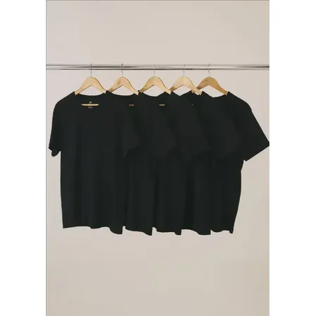 Kit 5 Camisetas Hering Basica Masculina Algodão Original