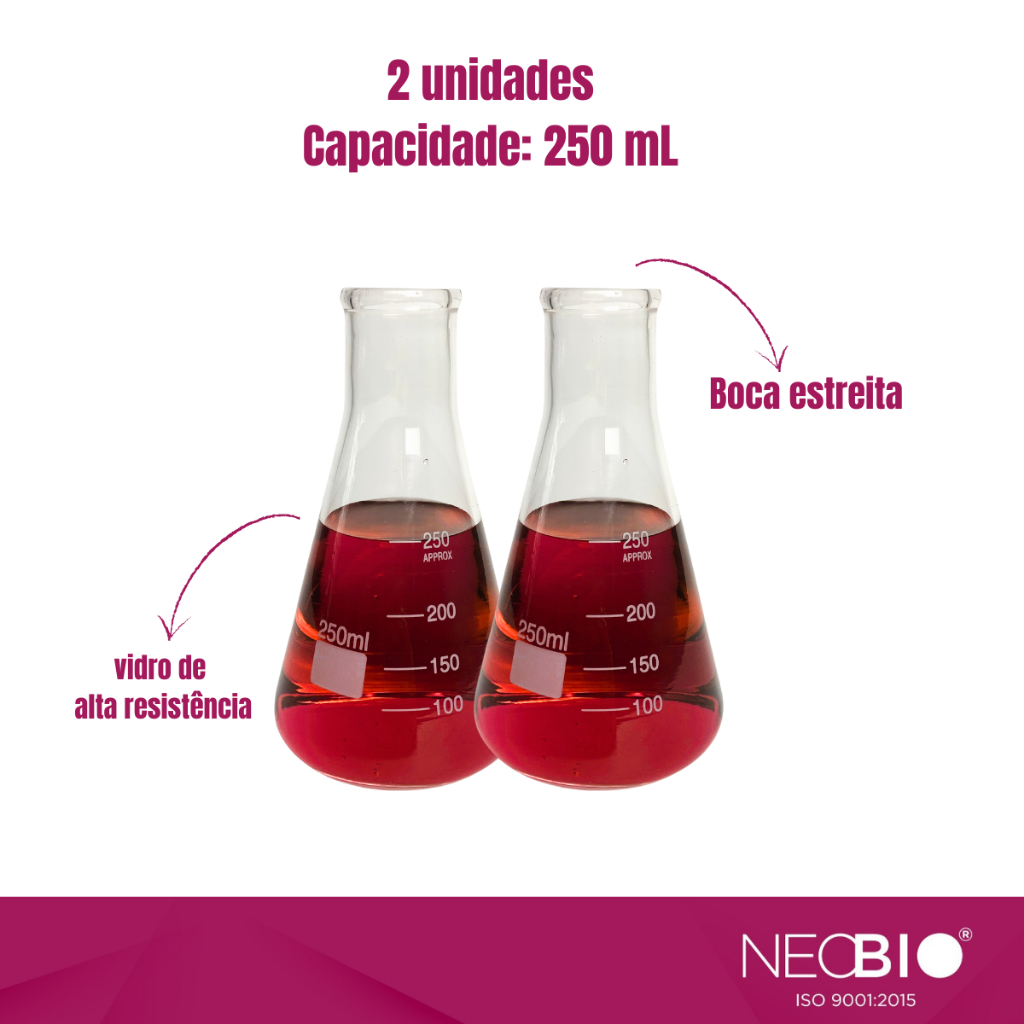 Kit 2 Erlenmeyer 250ml De Vidro Borossilicato Boca Estreita Graduado 250 Ml 2 unidades Resistente